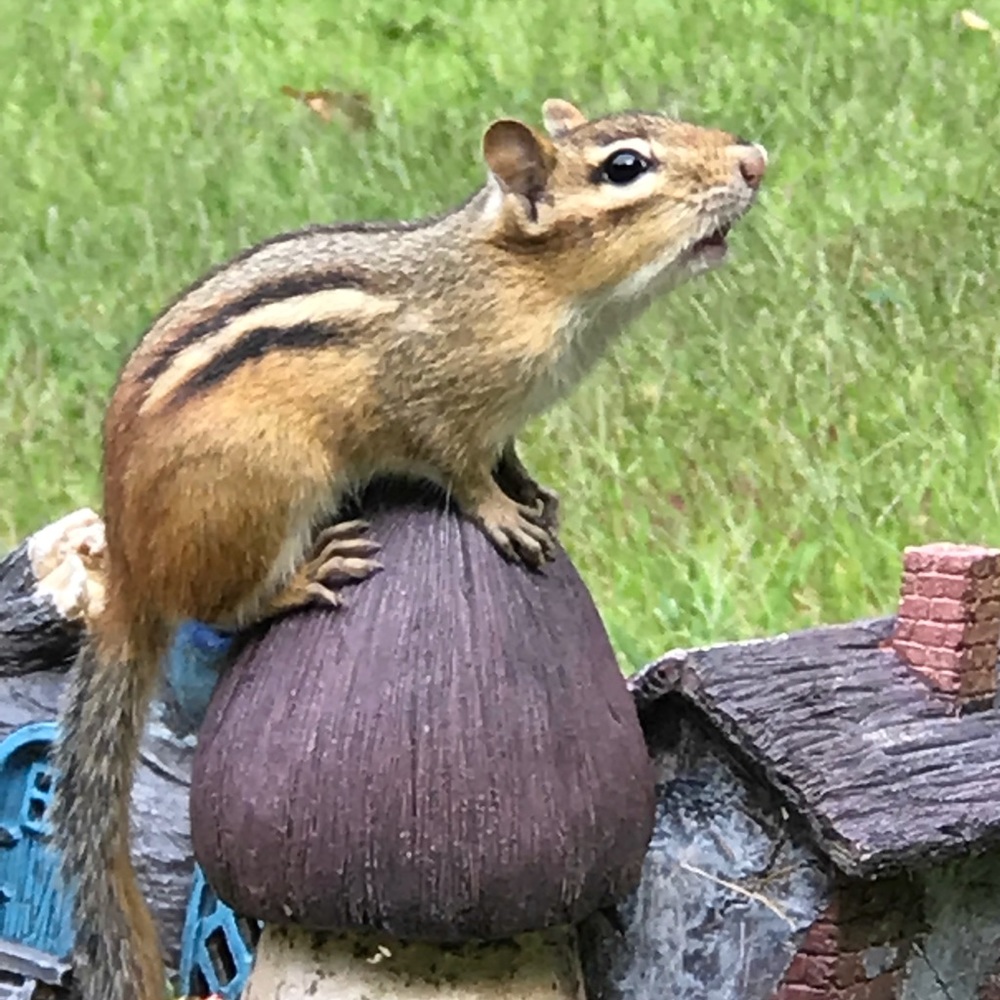 Meet your Posher, Colin